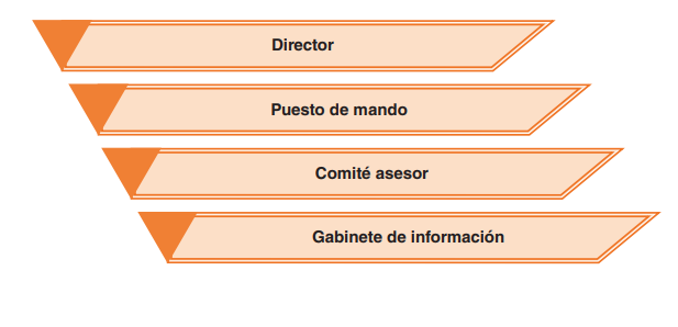 Estructura de dirección y coordinación