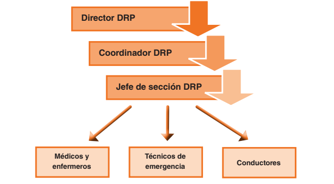 Estructura funciones del personal