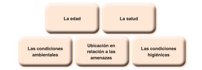 Factores de vulnerabilidad