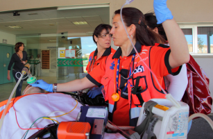 Fase de emergencia