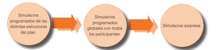 Figura simulacros