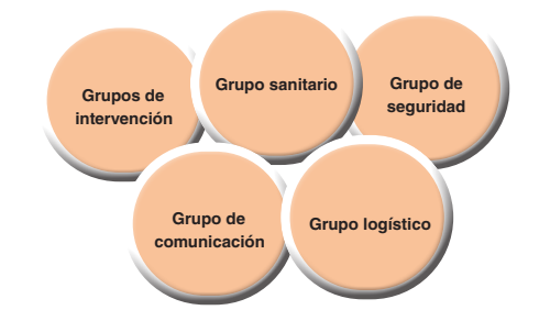 Formación de los órganos