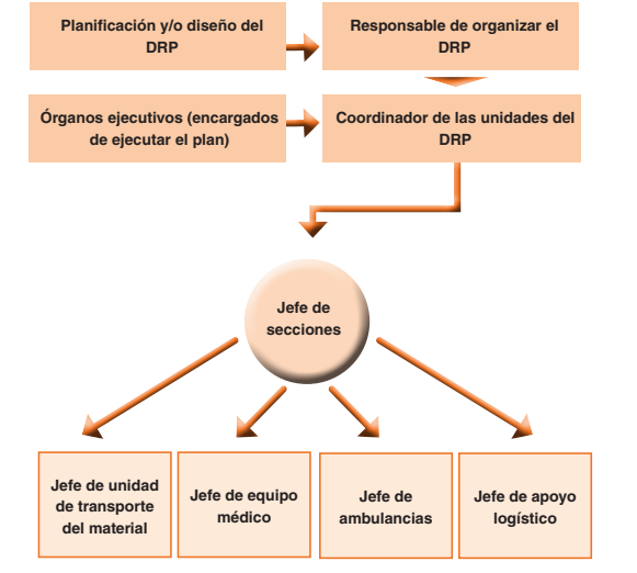 Organigrama funcional dispositivo de riesgo