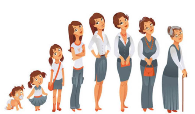 Imagen etapas de la mujer